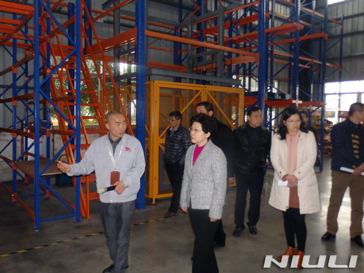 市領導到訪牛力機械制造有限公司參觀調(diào)研